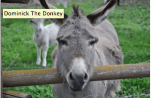 Screen Shot 2012 12 12 at 8.14.29 AM