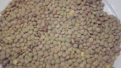 Lentils