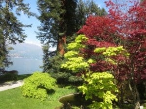 Lake Como: Love at First Sight 1 IMG_2347