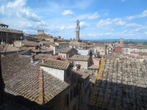 The Siena skyline with the Torre del Mangia 