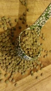 lentil2