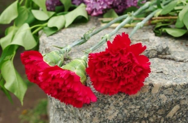 The Proper Flowers To Leave at Gravestones