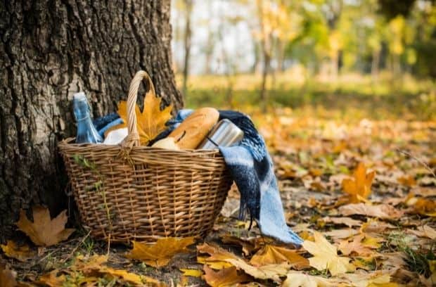What You Should Pack for Your Fall Picnic