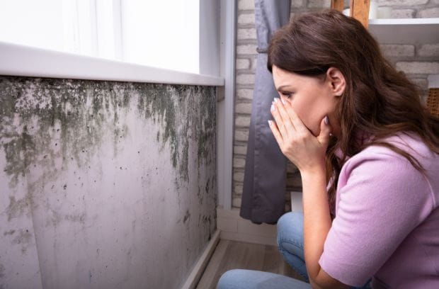 Common Health Risks Associated With Mold Exposure