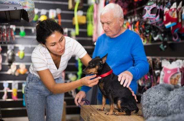 6 Health Conditions That Can Affect Your Dog’s Mobility