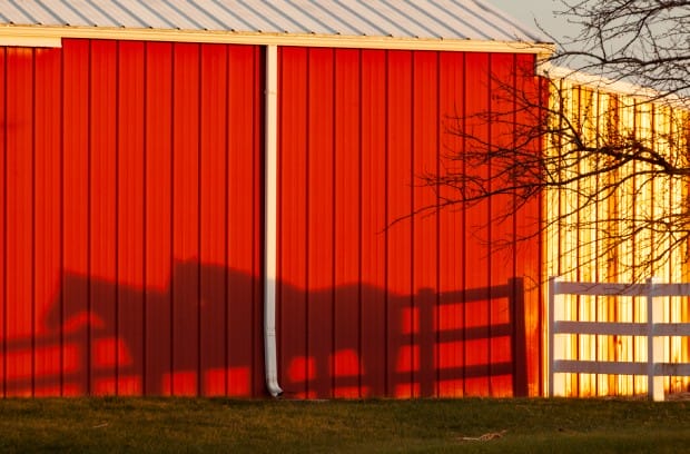 A red pole barn with a white roof displays the shadow of two adult horses. A bare tree is next to the barn.