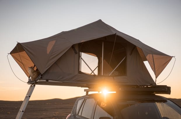A tan rooftop tent sits on top of a dark-colored vehicle, and a cat sits in the tent's opening. The sun peaks through.