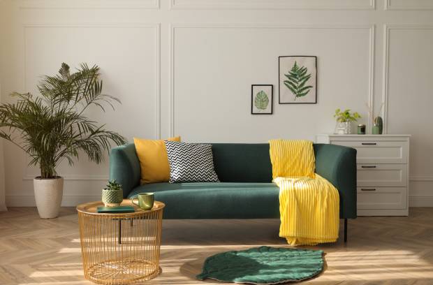 A stylish green couch with a yellow throw and two pillows—one yellow, one black and white zigzag—in a modern living room.