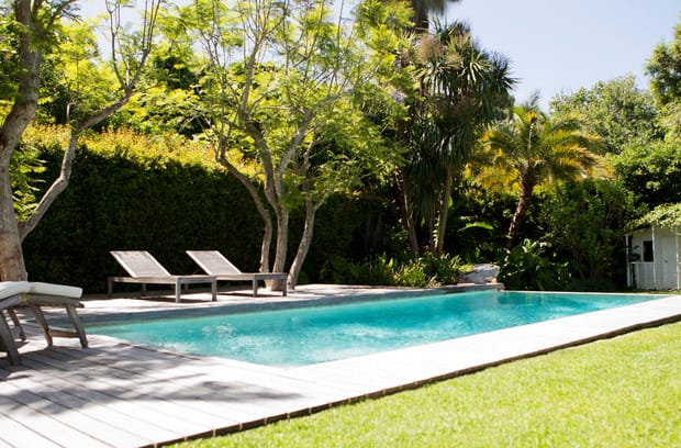 A backyard contains an inground pool, four tan lounge chairs, a white shed, green grass, and mature trees.