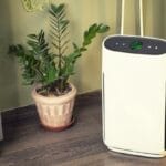 A small, white air purifier sits on a wooden floor next to a plant that's in a cream-colored ceramic pot.