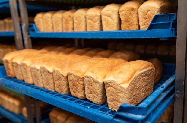 A commercial bread cooling rack with multiple blue shelves full of freshly baked sandwich bread. The bread is uncut.