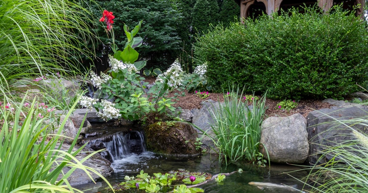A small section of a serene backyard full of greenery, flowers, and a pond with a small waterfall. A gazebo sits in the back.