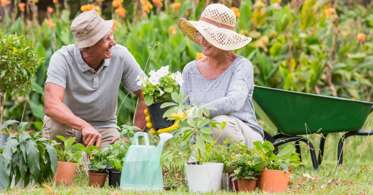 An older man and woman smile at each other as they squat in front of several plants outside. A green wheelbarrow is behind them.